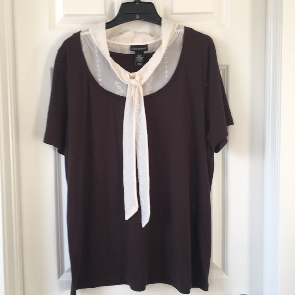 Lane Bryant Decorative brown tee with cream neck blouse with a tie. Size 18/20.